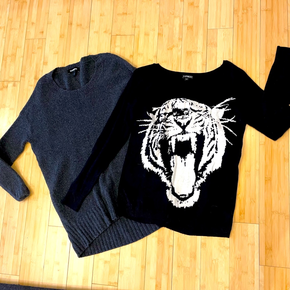 Express Sweater Pair